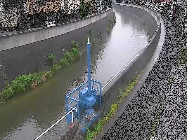 西ヶ崎橋付近のカメラ画像