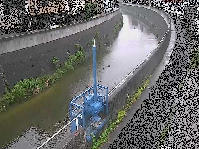 西ヶ崎橋付近のカメラ画像