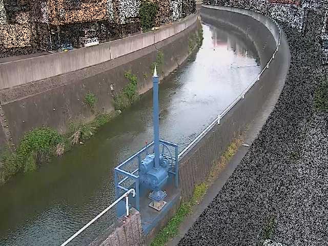 西ヶ崎橋付近のカメラ画像