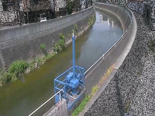 西ヶ崎橋付近のカメラ画像