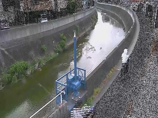 矢上川 西ヶ崎橋付近のカメラ画像