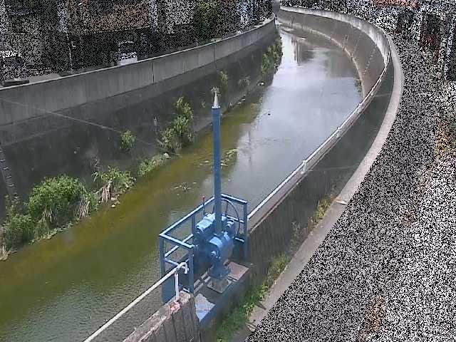 矢上川 西ヶ崎橋付近のカメラ画像
