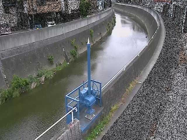西ヶ崎橋付近のカメラ画像