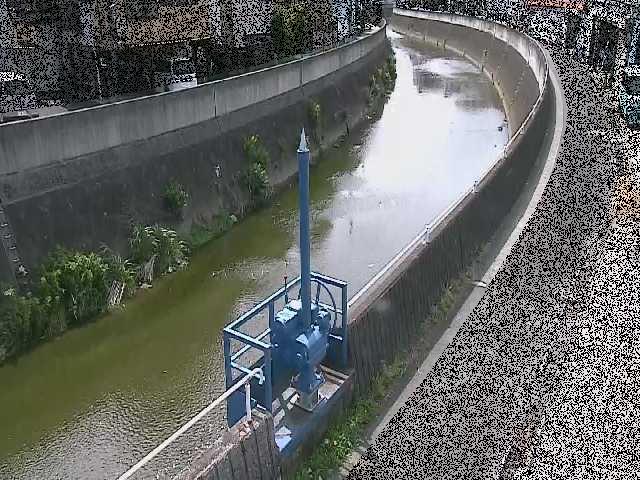 矢上川 西ヶ崎橋付近のカメラ画像