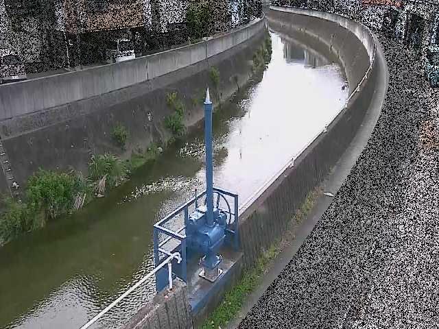 西ヶ崎橋付近のカメラ画像