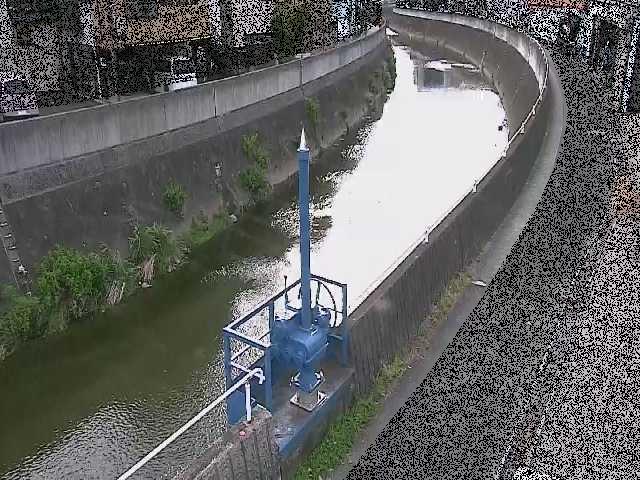 西ヶ崎橋付近のカメラ画像