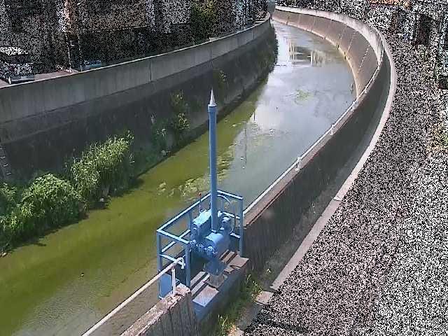 矢上川 西ヶ崎橋付近のカメラ画像