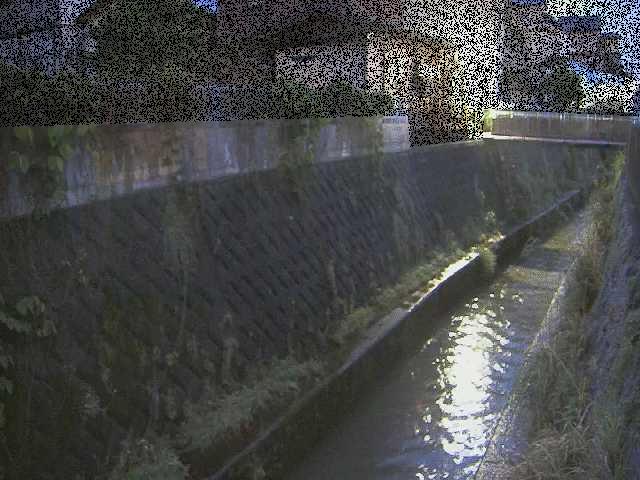東野川付近のカメラ画像