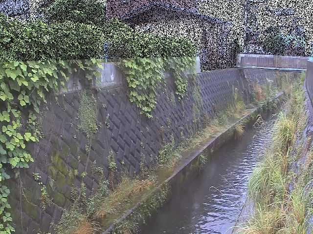 東野川付近のカメラ画像