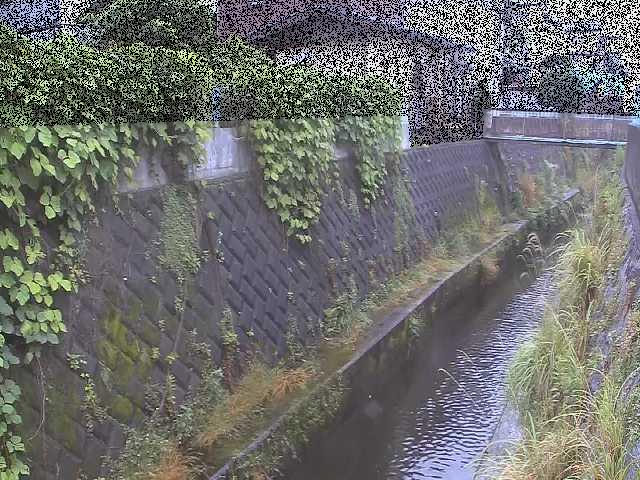 東野川付近のカメラ画像