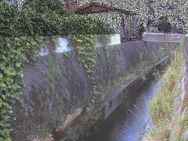 東野川付近のカメラ画像