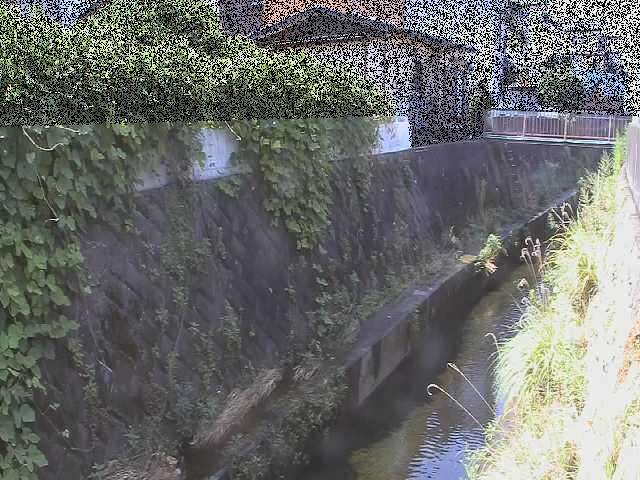 東野川付近のカメラ画像