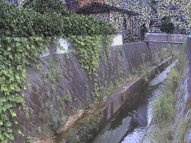 有馬川 東野川付近のカメラ画像