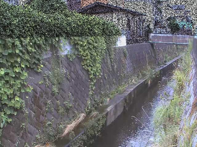 東野川付近のカメラ画像