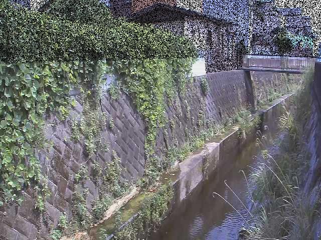 有馬川 東野川付近のカメラ画像