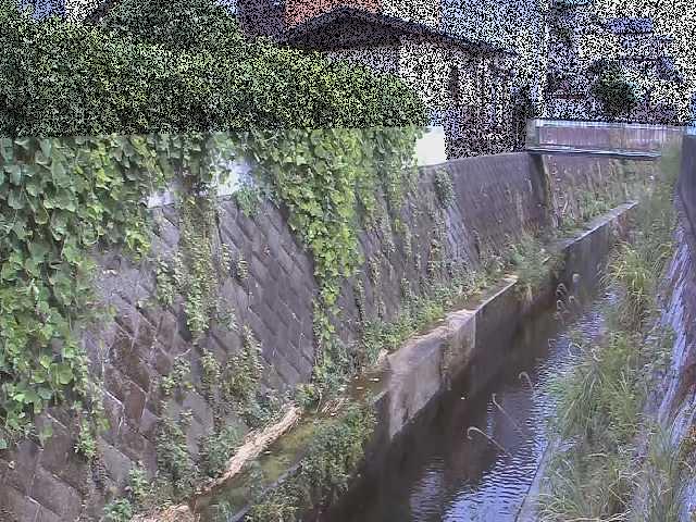 東野川付近のカメラ画像