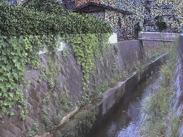 東野川付近のカメラ画像