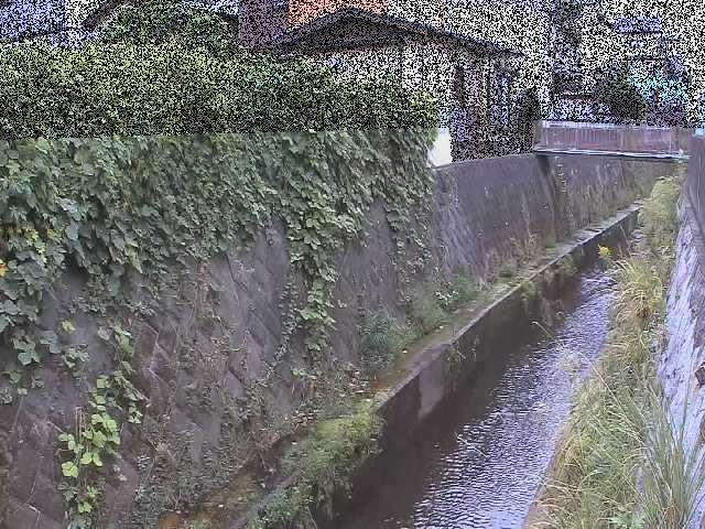 有馬川 東野川付近のカメラ画像
