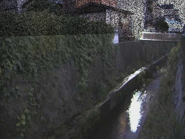 東野川付近のカメラ画像