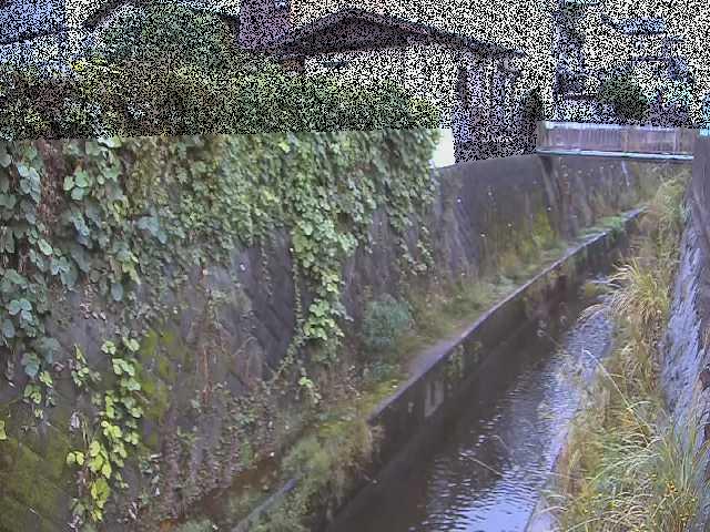 有馬川 東野川付近のカメラ画像