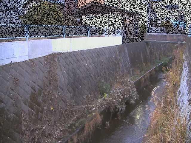 東野川付近のカメラ画像