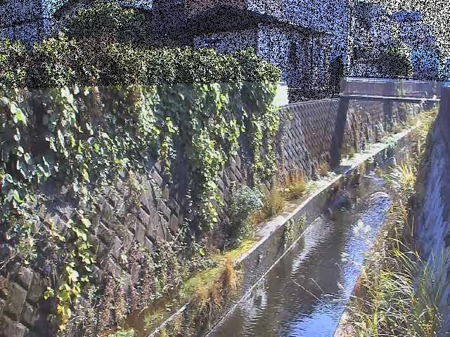 東野川付近のカメラ画像
