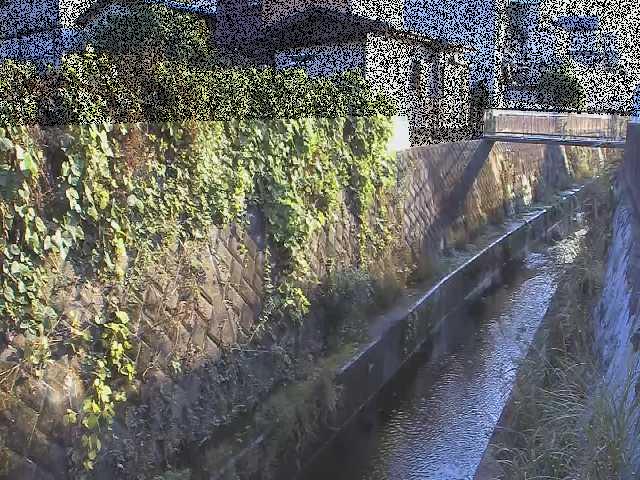 東野川付近のカメラ画像