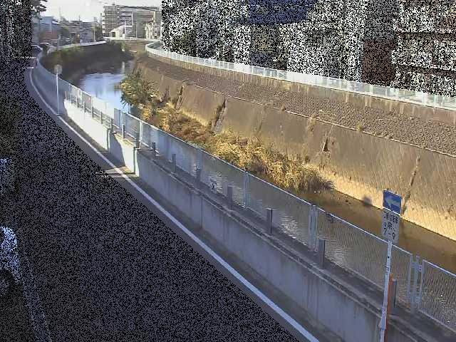 平瀬橋付近のカメラ画像