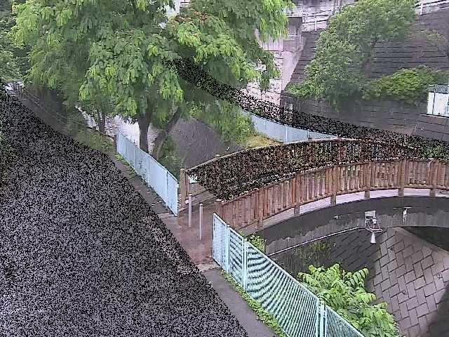 嶋田人道橋付近のカメラ画像