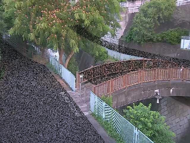嶋田人道橋付近のカメラ画像