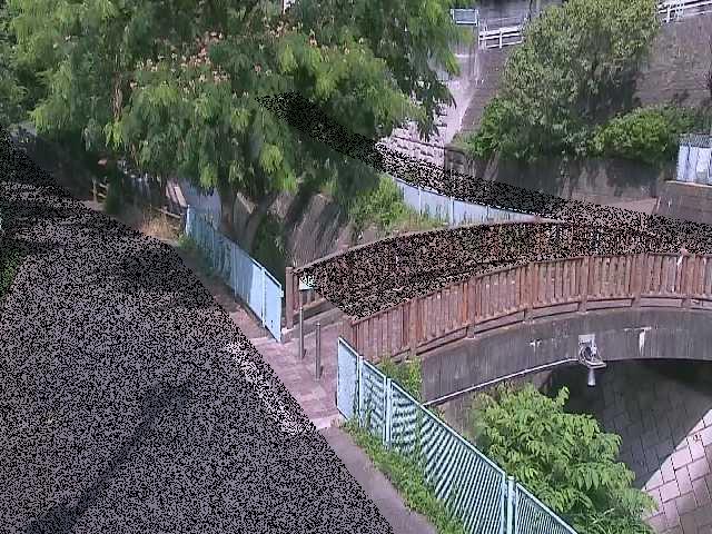 嶋田人道橋付近のカメラ画像