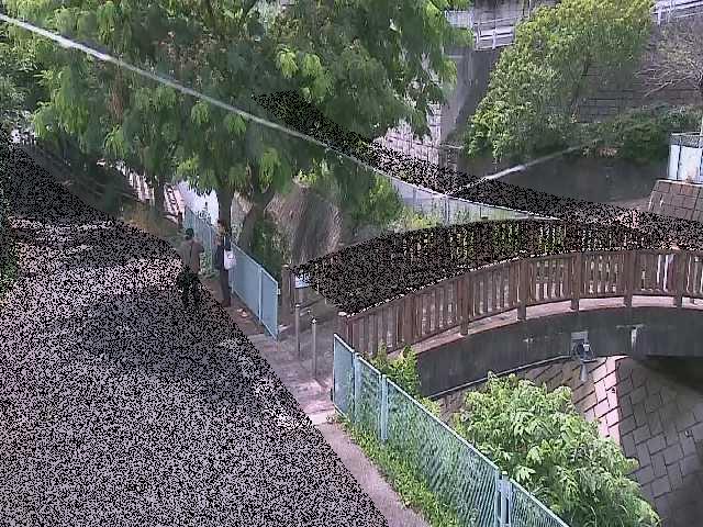 平瀬川 嶋田人道橋付近のカメラ画像
