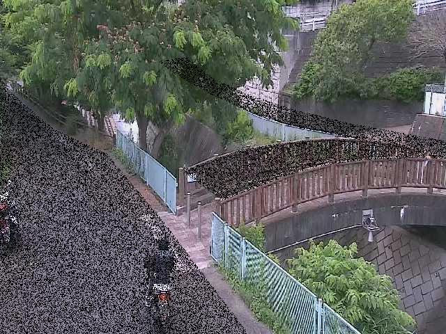 平瀬川 嶋田人道橋付近のカメラ画像
