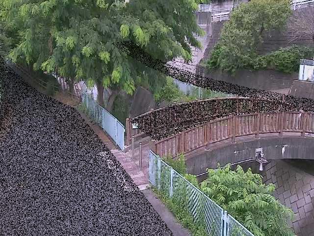嶋田人道橋付近のカメラ画像