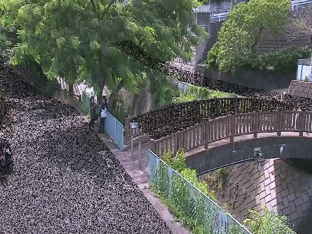 平瀬川 嶋田人道橋付近のカメラ画像