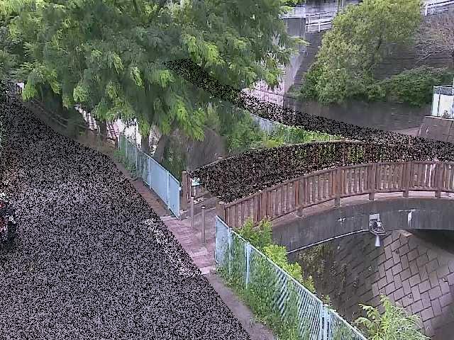 嶋田人道橋付近のカメラ画像