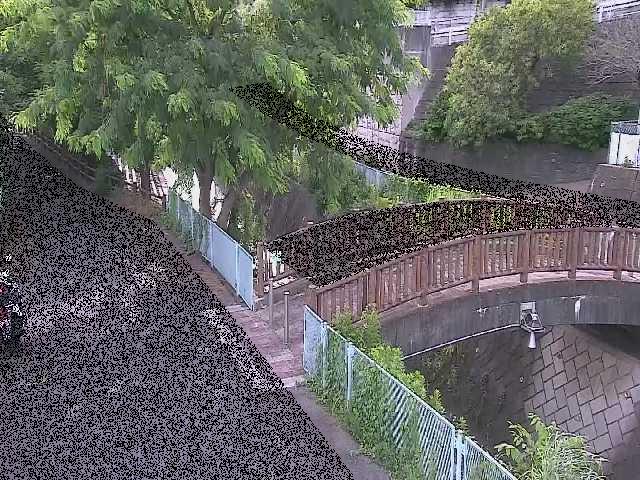 嶋田人道橋付近のカメラ画像
