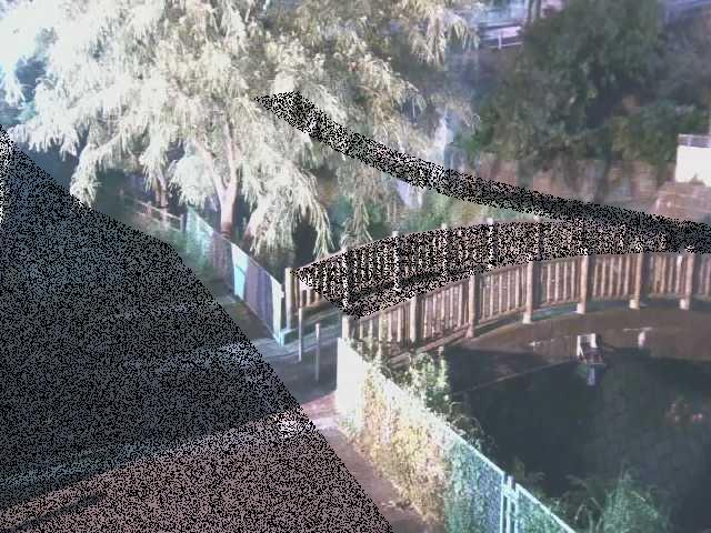 嶋田人道橋付近のカメラ画像