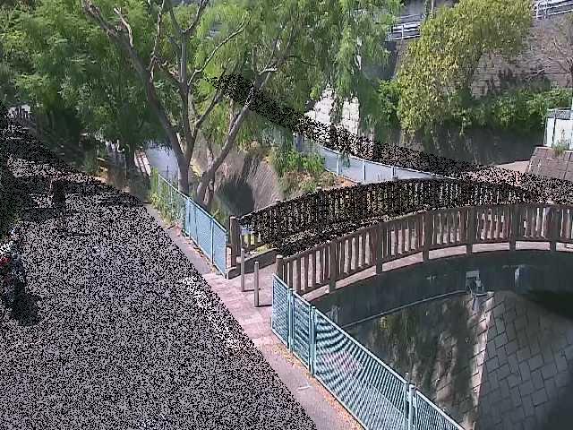平瀬川 嶋田人道橋付近のカメラ画像