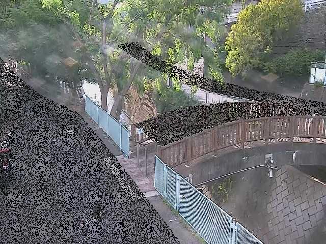 平瀬川 嶋田人道橋付近のカメラ画像