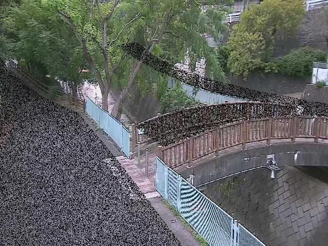 嶋田人道橋付近のカメラ画像