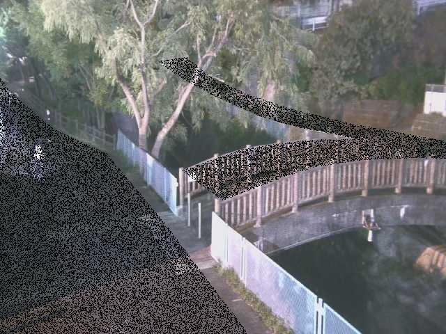 嶋田人道橋付近のカメラ画像