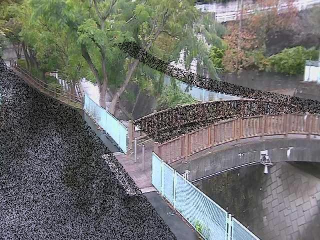 平瀬川 嶋田人道橋付近のカメラ画像