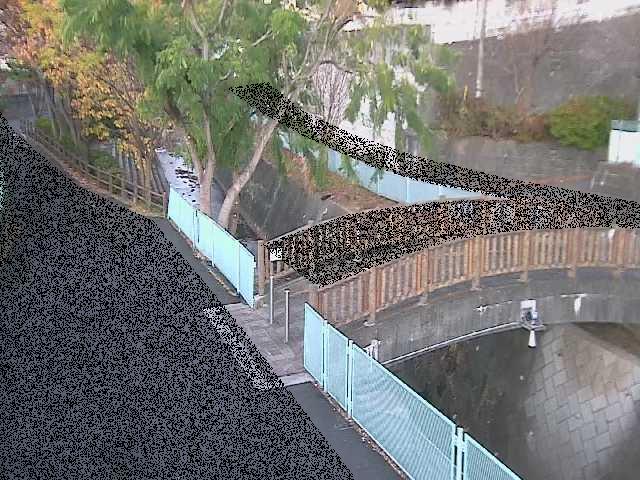 嶋田人道橋付近のカメラ画像