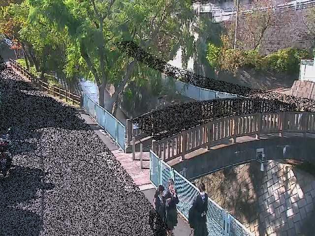 嶋田人道橋付近のカメラ画像