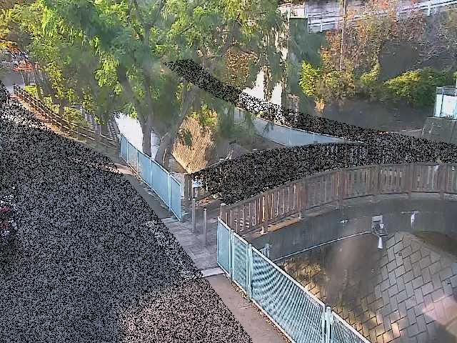 嶋田人道橋付近のカメラ画像