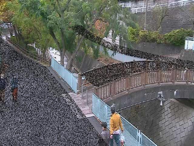 平瀬川 嶋田人道橋付近のカメラ画像