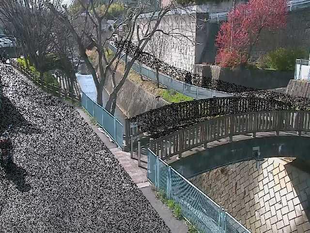 嶋田人道橋付近のカメラ画像