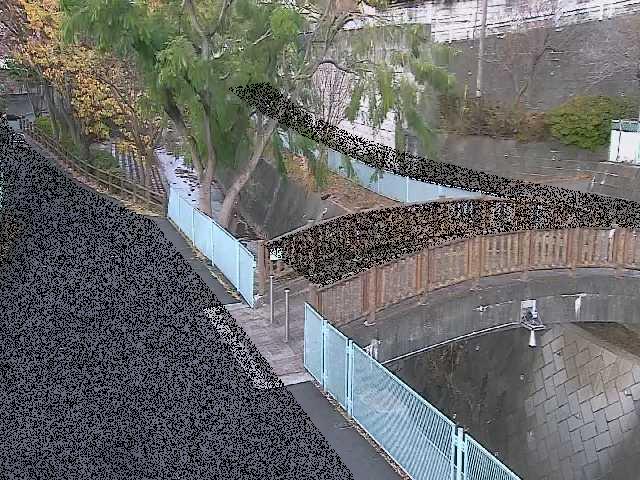 嶋田人道橋付近のカメラ画像