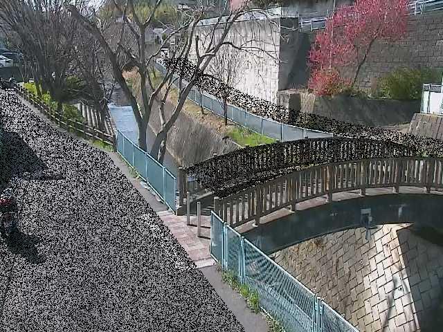 嶋田人道橋付近のカメラ画像